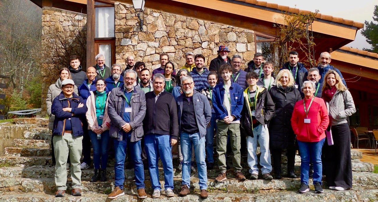 Spanish Network of Physical Virology (BioFiViNet)