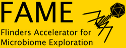 Invited talk at FAME, Flinders University, Australia